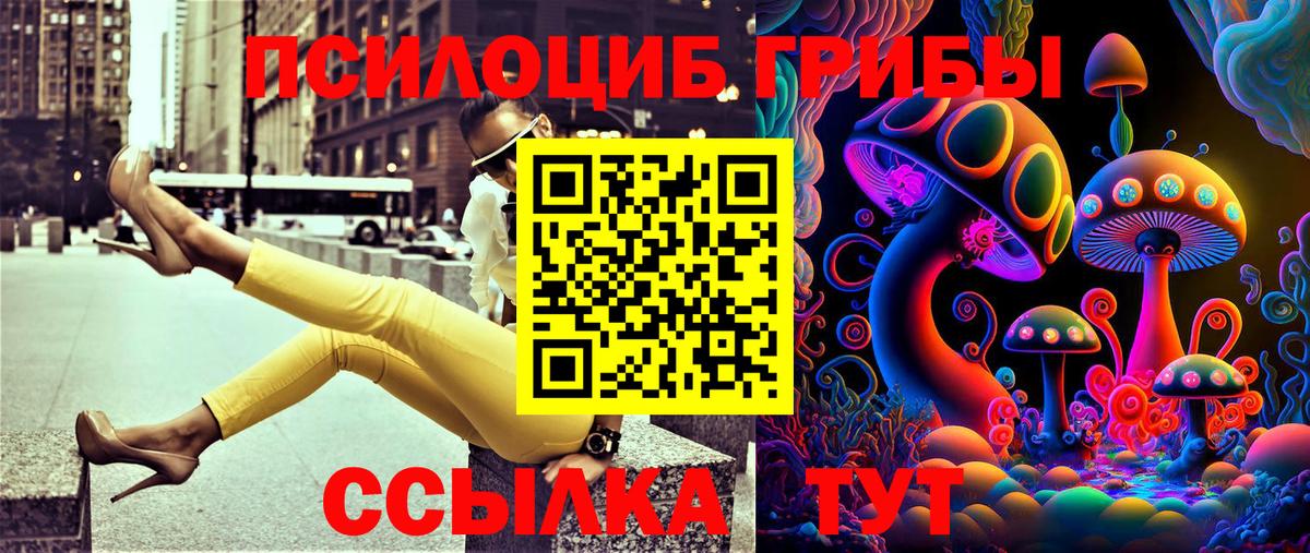 Кировск  Псилоцибиновые грибы мицелий  что такое   Вход с VPN 